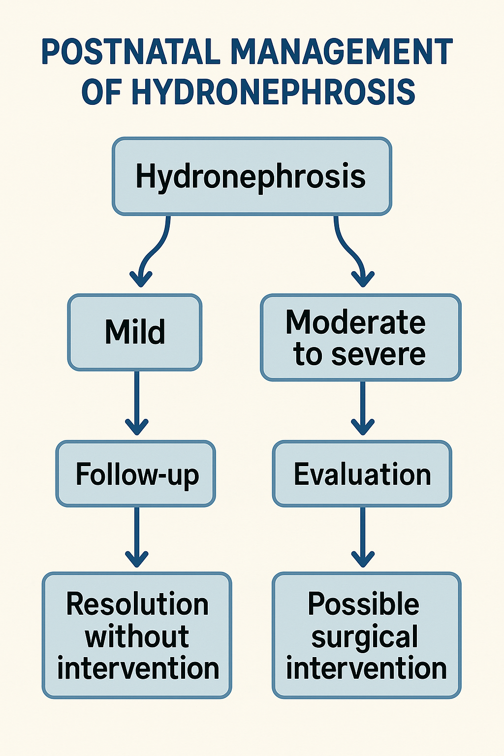 Infographic of postnatal management steps for hydronephrosis